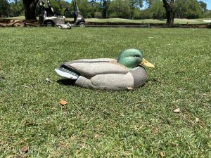 Caledonia Tee Marker Mallard